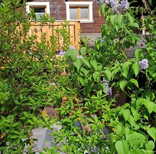 Chalet-daheim-fiesch 3,5-zimmerwohnung Apartamento