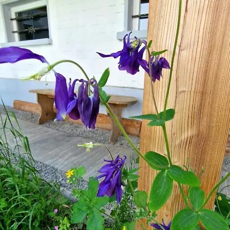 Chalet-daheim-fiesch 3,5-zimmerwohnung Фиш