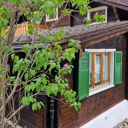 Апартаменты Chalet-daheim-fiesch 3,5-zimmerwohnung *